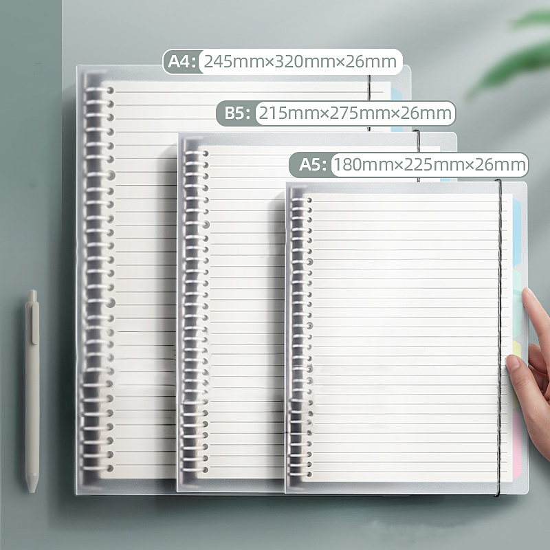A5/B5/A4 Binder Notebooks Loos - đánh giá và giá Graph Paper Pad
