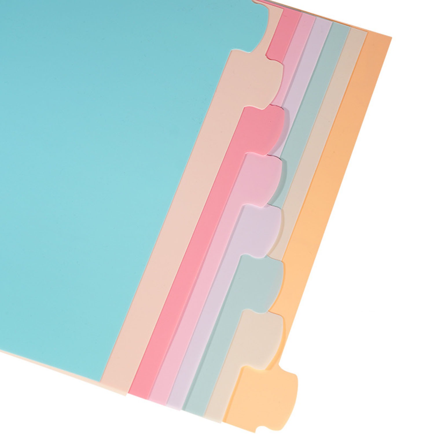 8 Tab Binder Dividers for 3 Ri - đánh giá và giá Index Tab Divider